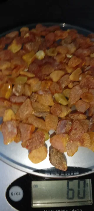 Ambra baltica grezza