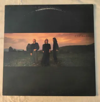 Vinile ESP Bee Gees
