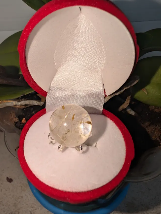 Anillo en forma de esfera con dientes de león real