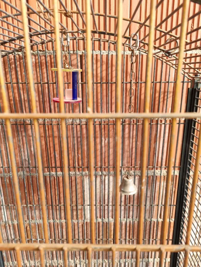 Jaula para pájaros marrón y gris