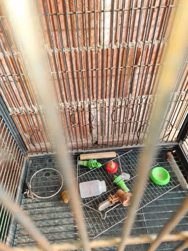 Jaula para pájaros marrón y gris