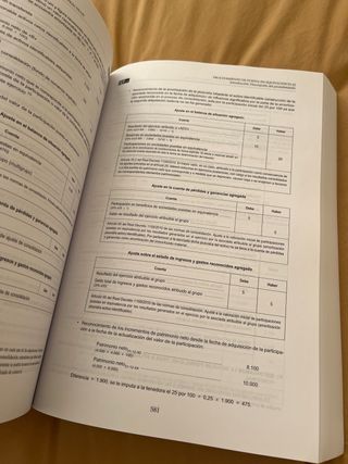 Normas de consolidación- CEF