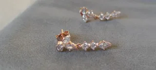 Pendientes Plata Herbario Brillante oro rosa