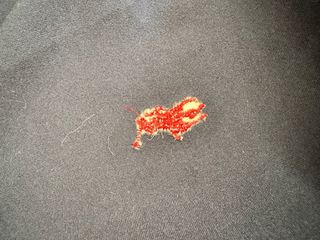 Felpa con cappuccio Polo Ralph Lauren blu