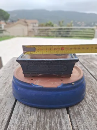 Tiestos bonsai cerámica y terracota