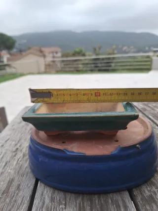 Tiestos bonsai cerámica y terracota