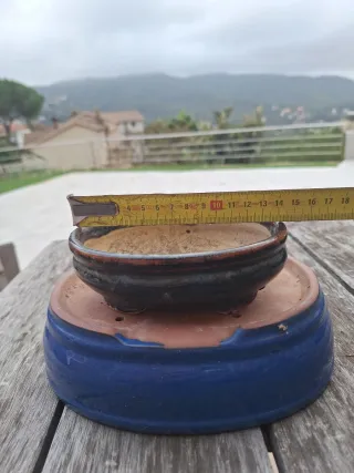 Tiestos bonsai cerámica y terracota