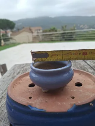 Tiestos bonsai cerámica y terracota