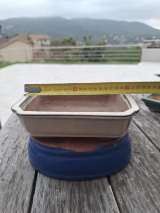 Tiestos bonsai cerámica y terracota