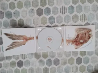 Berri Txarrak - Libre