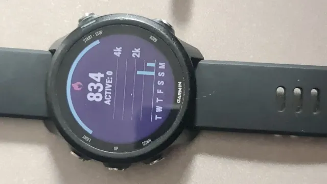 Reloj Deportivo Garmin Forerunner 245 Negro.