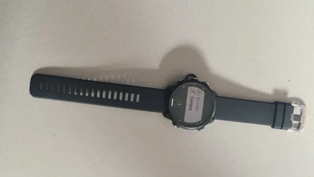 Reloj Deportivo Garmin Forerunner 245 Negro.