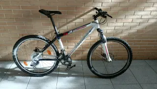 Bicicleta de montaña