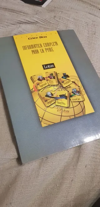 Lotus Informática para la Pyme.