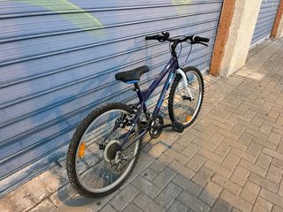 Bicicleta para Niño/a 24 Pulgadas