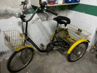 Triciclo Monty con cesta