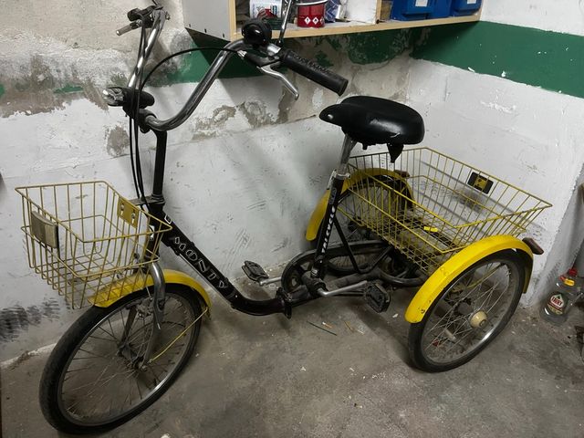 Triciclo Monty con cesta