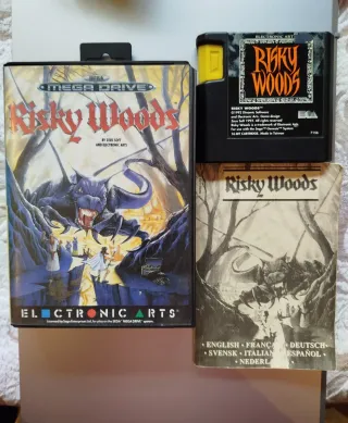 Risky Woods Sega Mega Drive