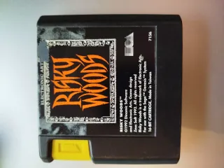 Risky Woods Sega Mega Drive
