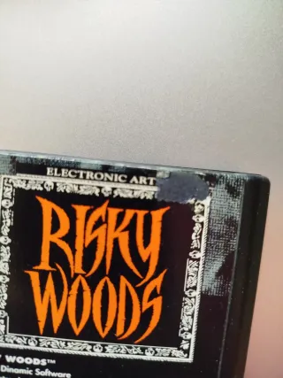 Risky Woods Sega Mega Drive