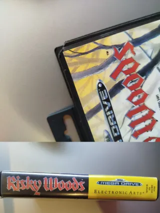 Risky Woods Sega Mega Drive