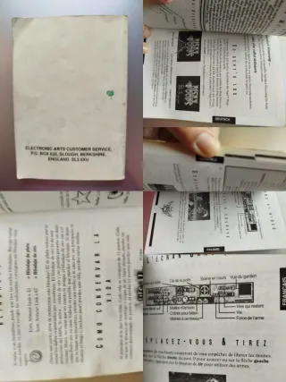 Risky Woods Sega Mega Drive