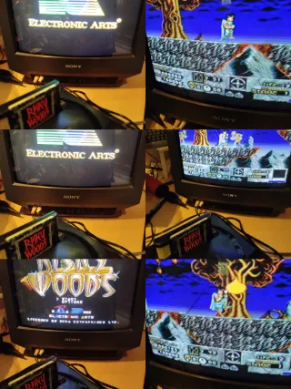Risky Woods Sega Mega Drive