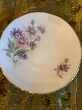 Lote de 3 tazas de porcelana fina Springfield