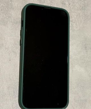 iPhone 13 Pro Max Verde