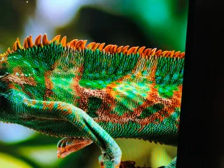 Televisor LG OLED48C34LA C3 EVO 4K UHD 2024