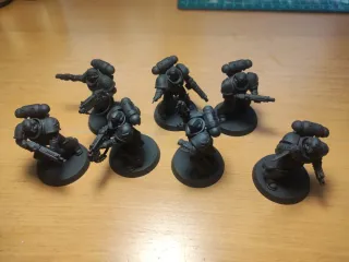 Warhammer 40k Lobos Espaciales Intercesores