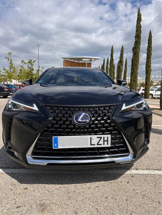 Lexus UX 250h Business 4 WD