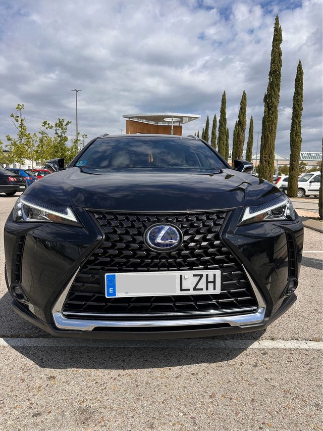 Lexus UX 250h Business 4 WD
