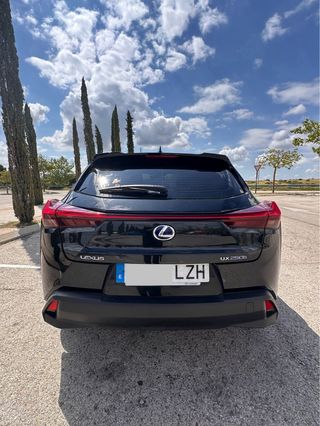 Lexus UX 250h Business 4 WD