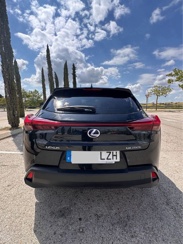 Lexus UX 250h Business 4 WD
