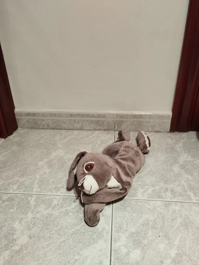 Peluche Conejo