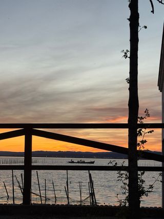 Ofrezco mentorias para crecer empresarialmente