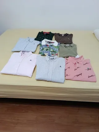 Lote de Camisas y Polos