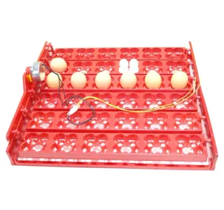 Bandejas de Huevos para incubadoras con Motor