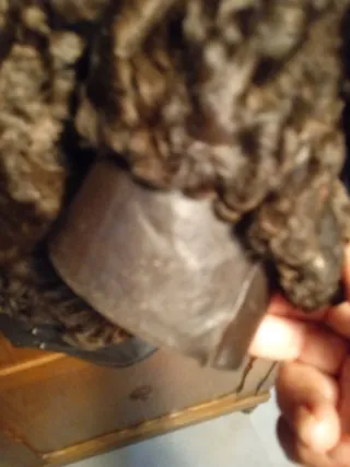 Bonita cazadora chaquetón astracán