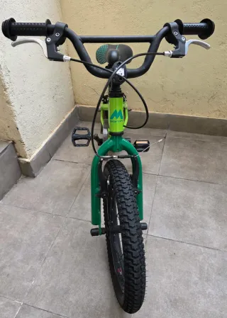 Bicicleta Monty 16 Infantil Verde.