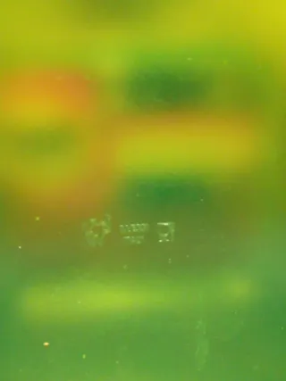 Scatola porta biscotti Alessi verde