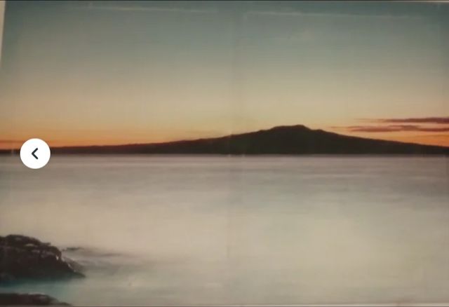 Cuadro grande flores tulipanes