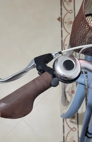 Bicicleta paseo adulto con cesta