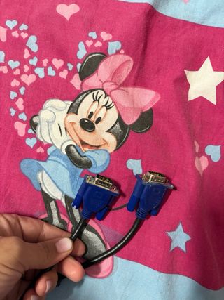 Monitor BenQ GL2055 LED Negro