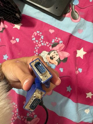 Monitor BenQ GL2055 LED Negro