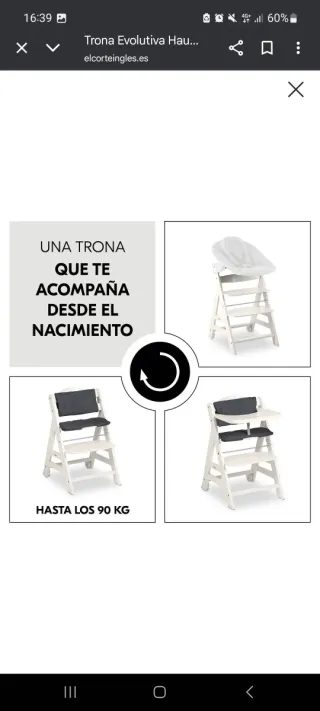 Trona Hauck Beta Plus con cojín y arnés