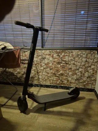 Patinete eléctrico Ninebot by Segway.