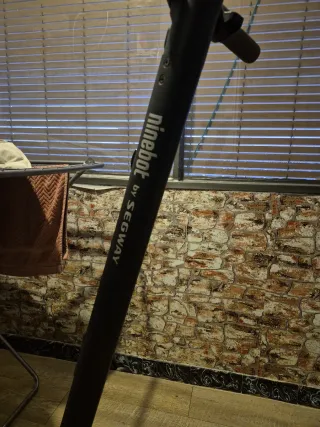 Patinete eléctrico Ninebot by Segway.