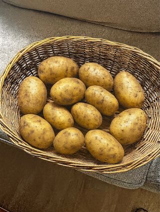 Cesto grande de mimbre